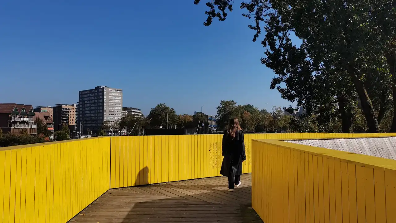 抖漫动漫破解版能用吗？风险与选择建议