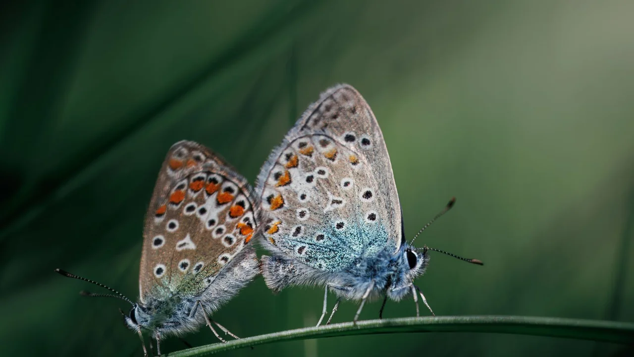 怎么找到靠谱的а√天堂中文最新版资源