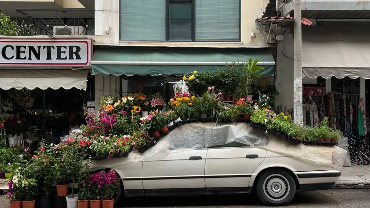 黄俊铭头像